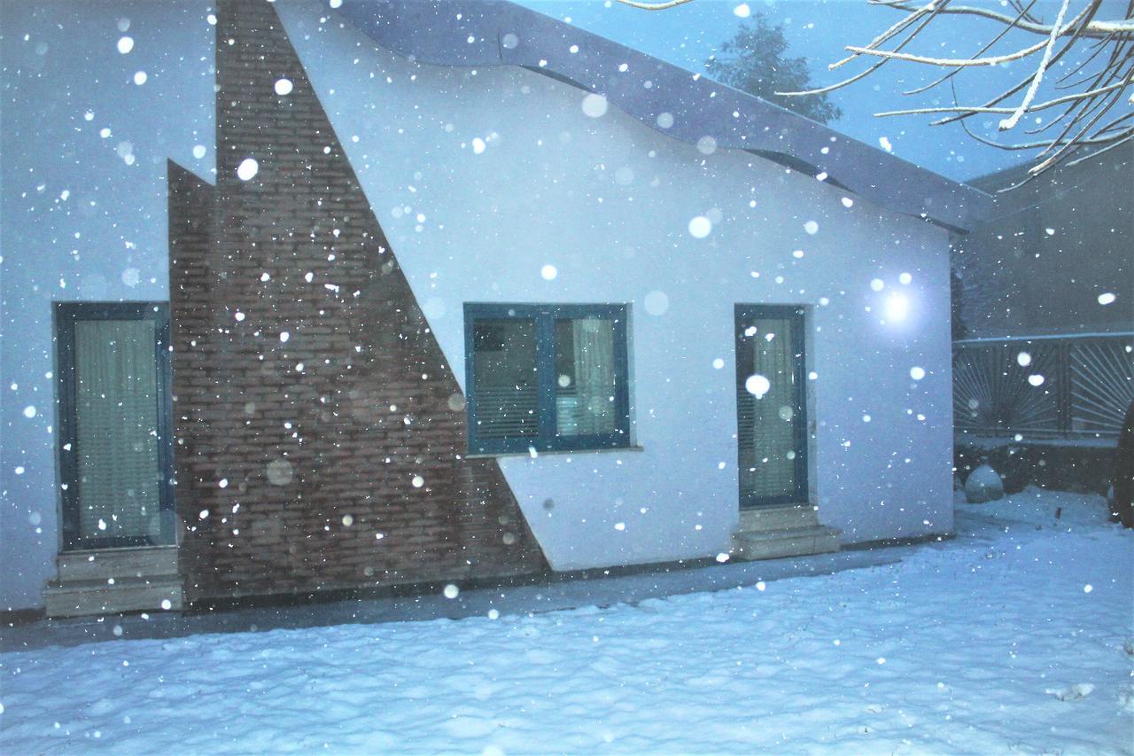 Basilicata Al Volo Hostel Бриндизи ди Монтаня Екстериор снимка